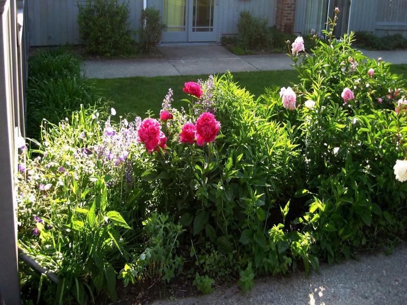 Inn At Charlotte B&B Burlington Esterno foto